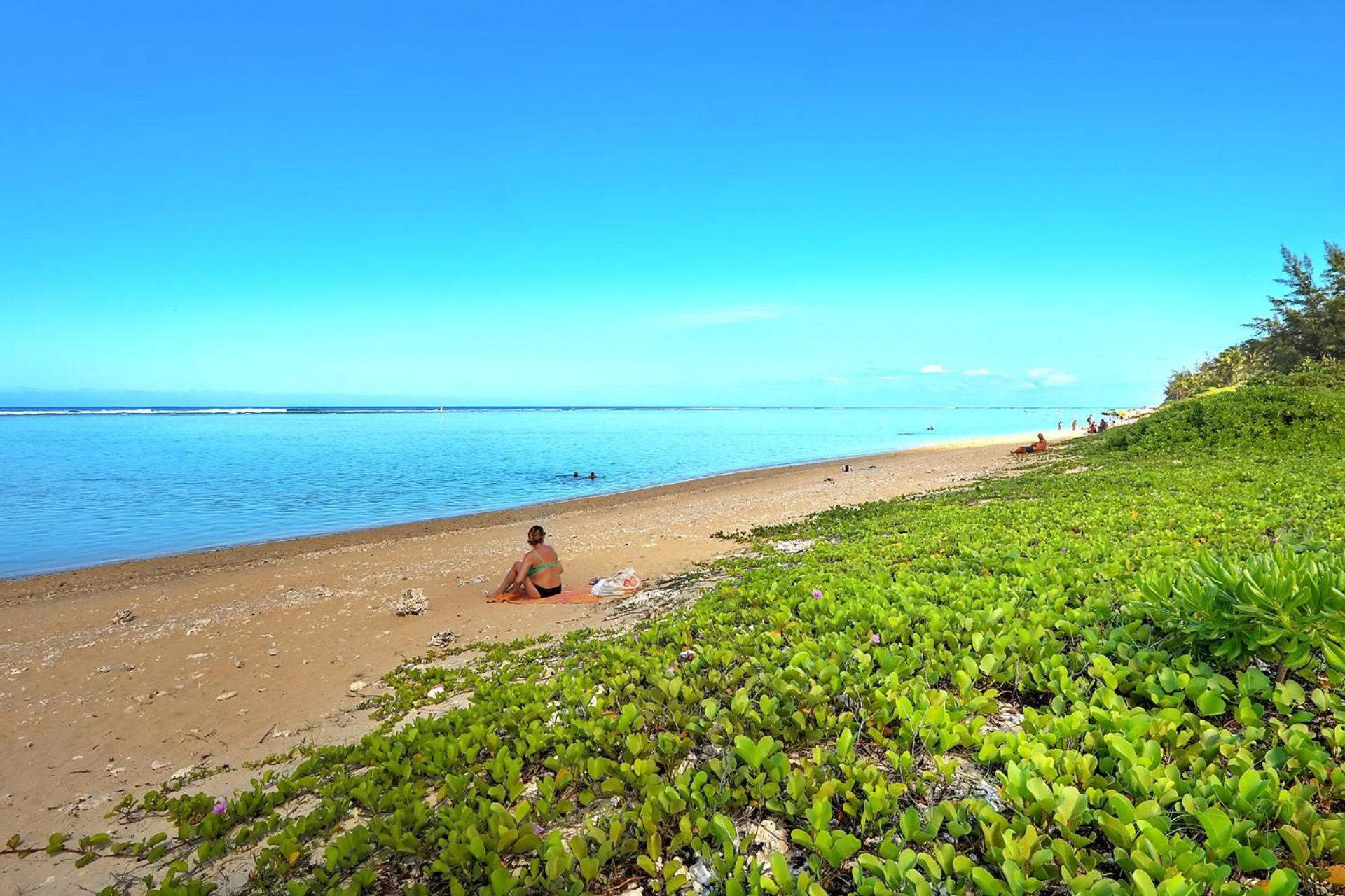 Exceptionnel ! Le Kazuarina, Tres Bel Apt F3 A 50M De La Plage De La Saline Le Bains Dış mekan fotoğraf